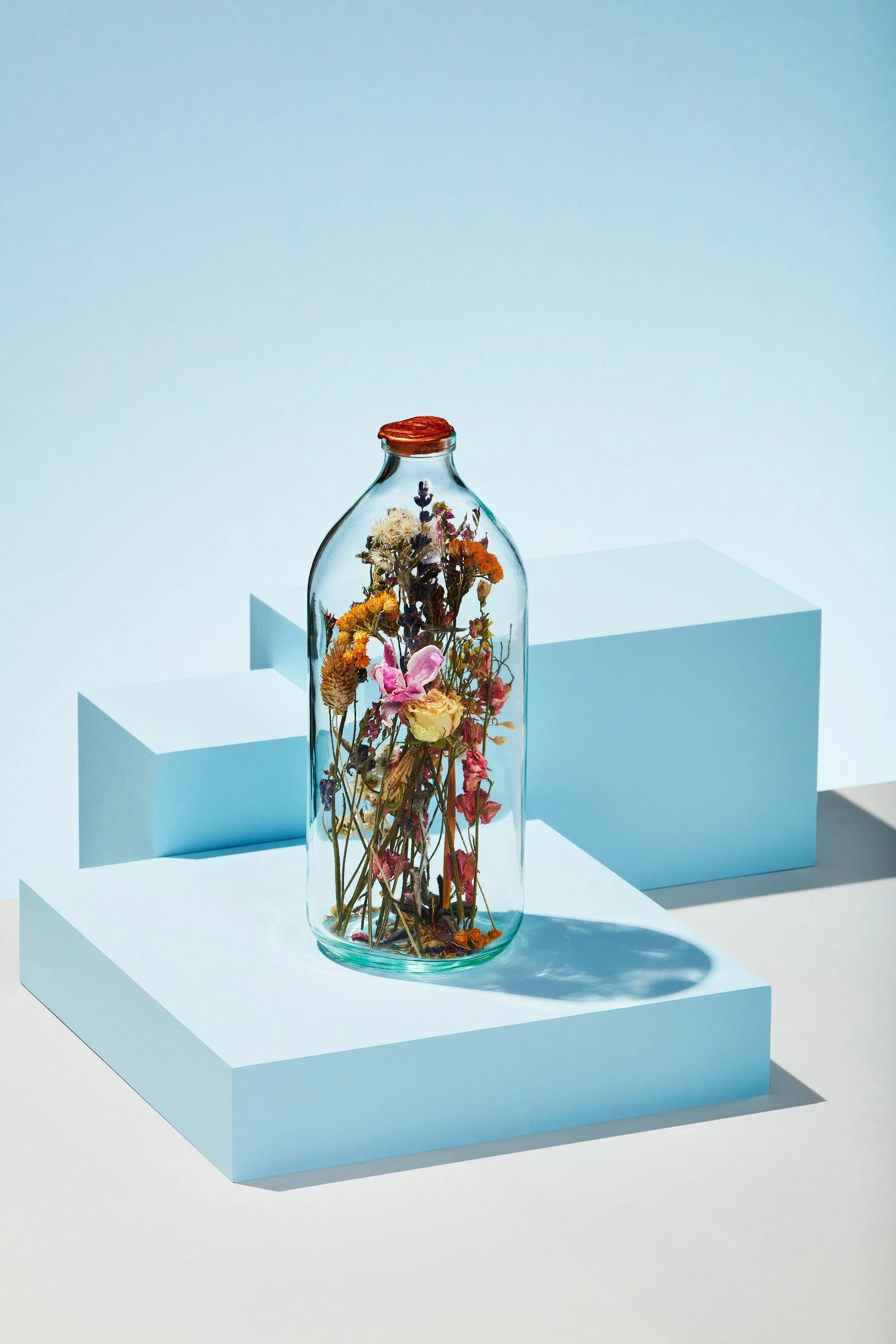 flowers in a bottle in a high contrast blue blocked surrounding.