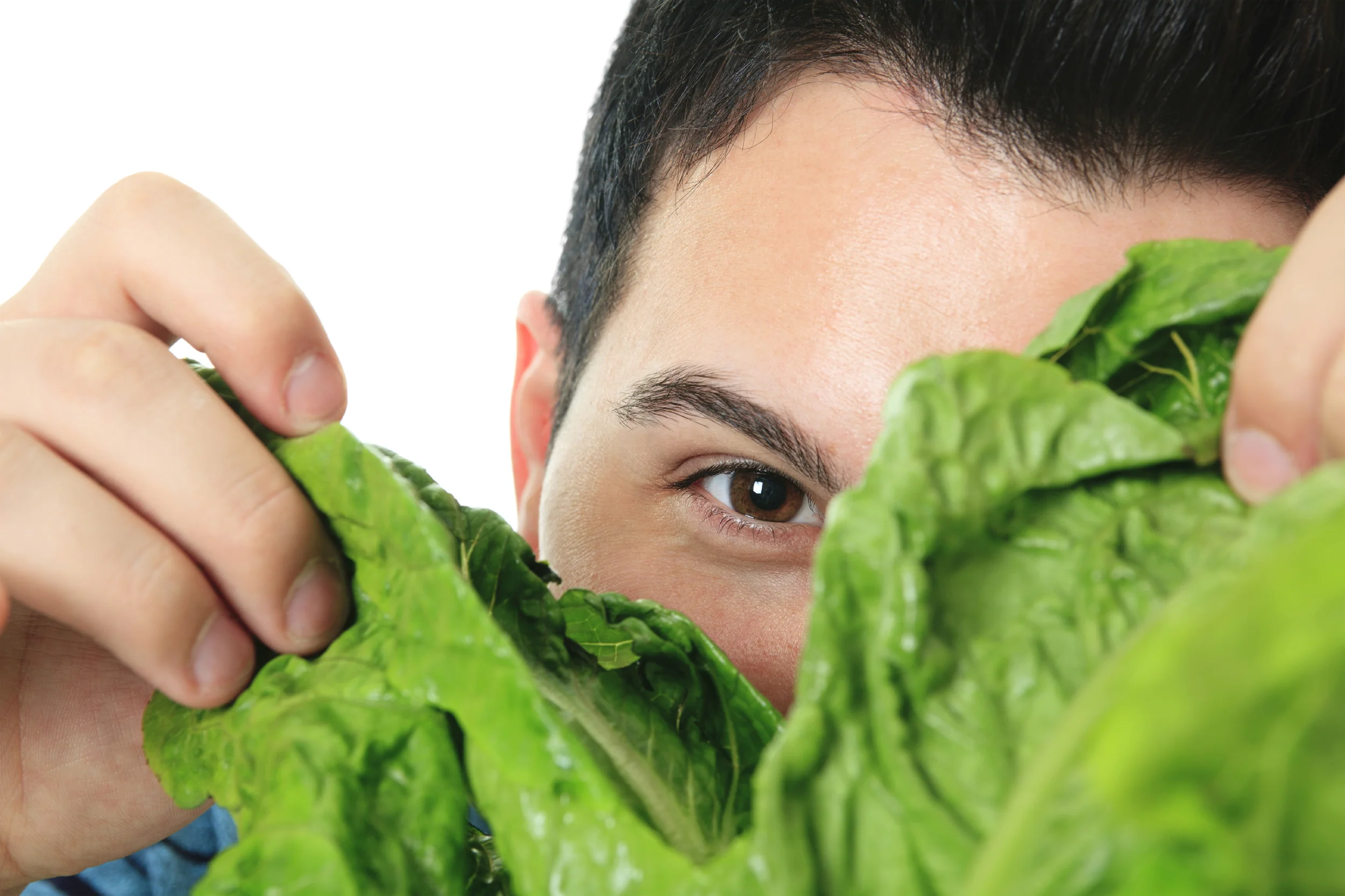 iStock_000016407409Large.jpg