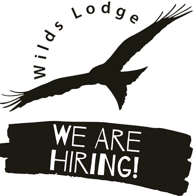 We are hiring! Become part of the Wilds Lodge team! We are currently looking for an ICT/Computer Science Teacher and a Teaching Assistant. ☺️ Head to our website www.wildslodgeschool.co.uk/vacancies to find out more!