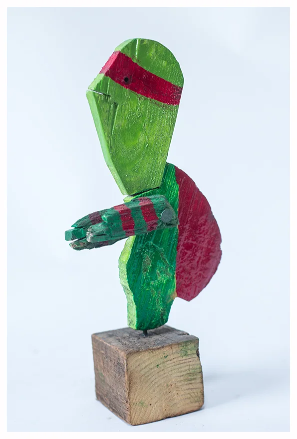 NINJA TURTLE