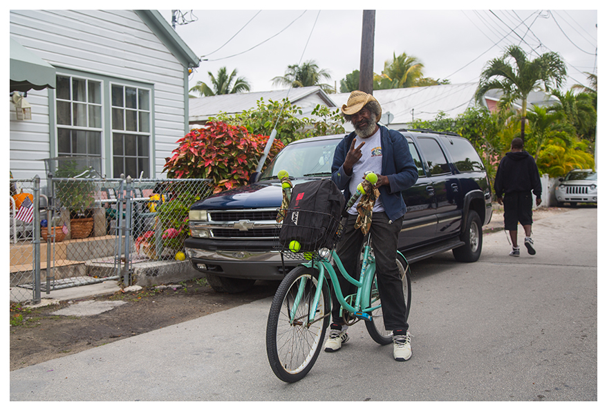 Sebal_ordinary_unknown_Biker_Key_West_Florida.jpg