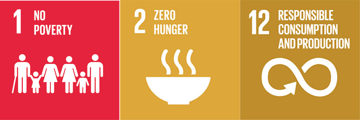 sdg's.png
