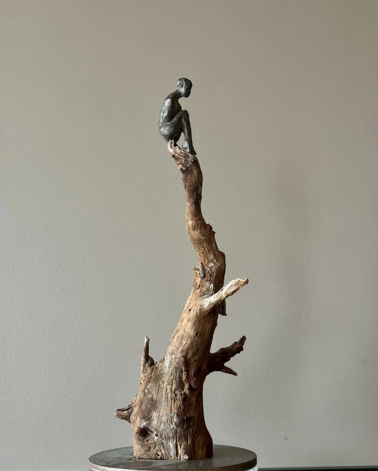 WhatsApp Image 2026-02-10 at 19.11.02.jpeg