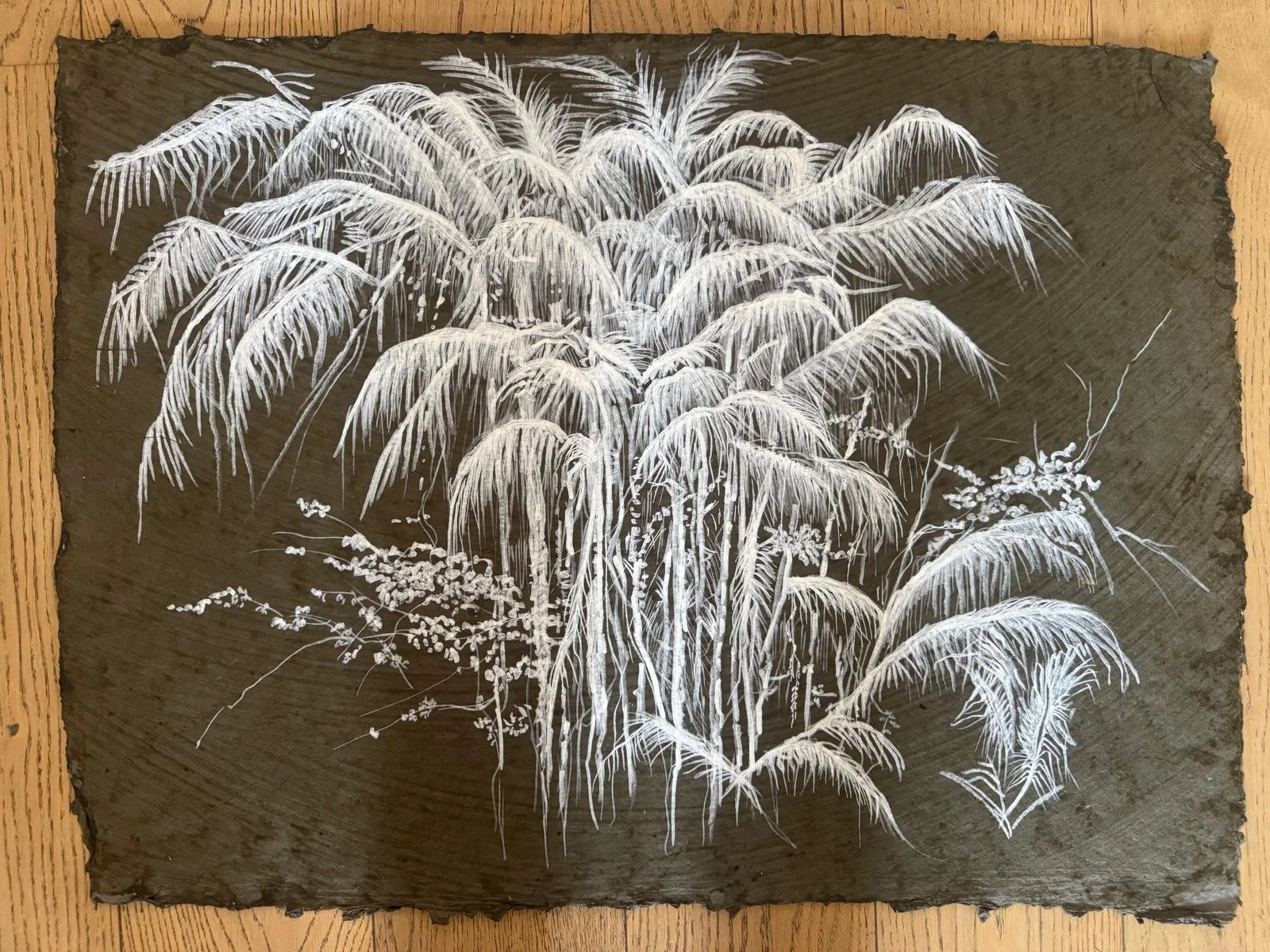 WhatsApp Image 2026-02-10 at 19.12.08.jpeg