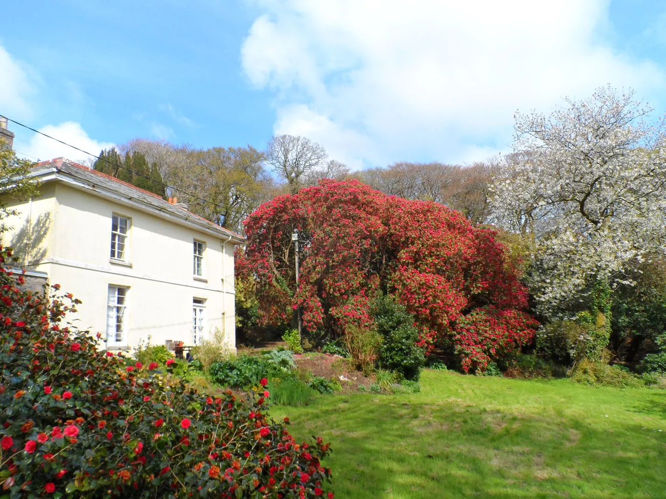 The-Rookery-April.jpg