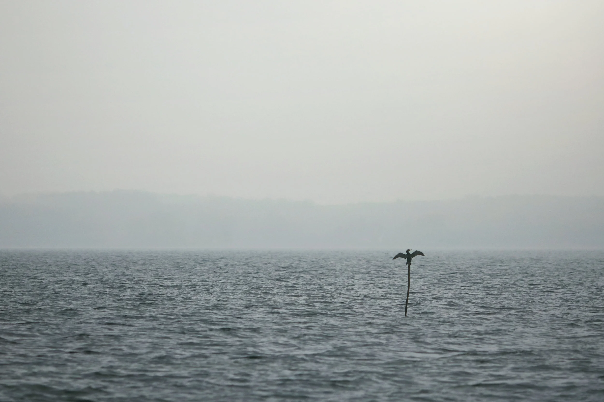IMG_2731 copy_v2.jpg