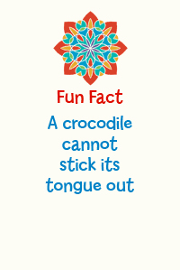 FunFactanim3.gif