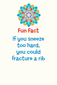 FunFactanim6.gif