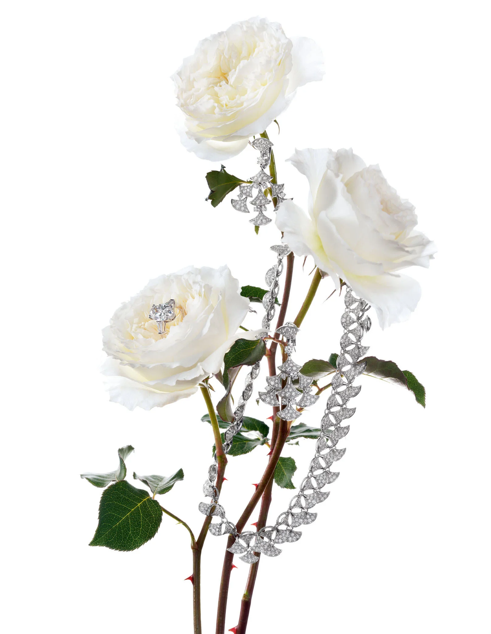 TED HUMBLE SMITH | WHAT A GIRL WANTS | HARRODS MAGAZINE