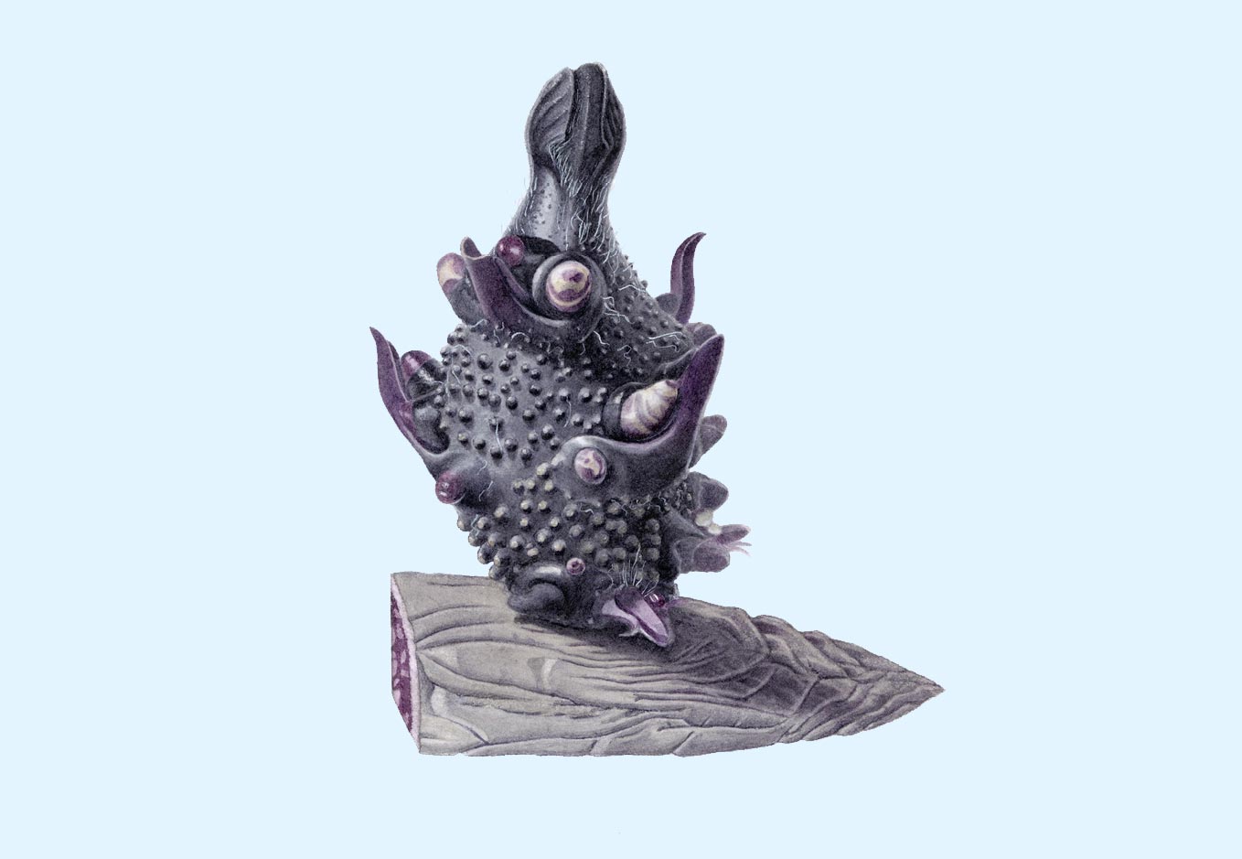 00_vorlage_york_schmal_thumb.jpg