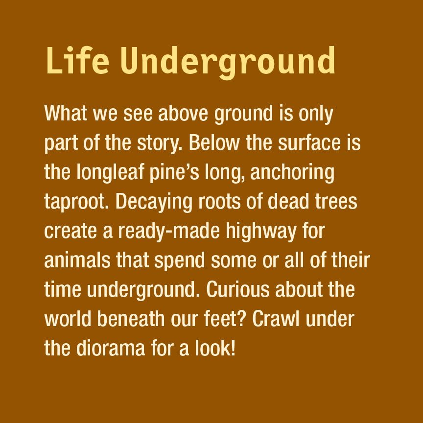 03.40.20.915.GR_Life-Underground.jpg