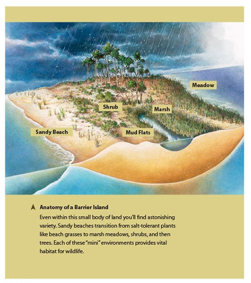 6_Gulf_Islands_GR_Island_Cross_Section.jpg