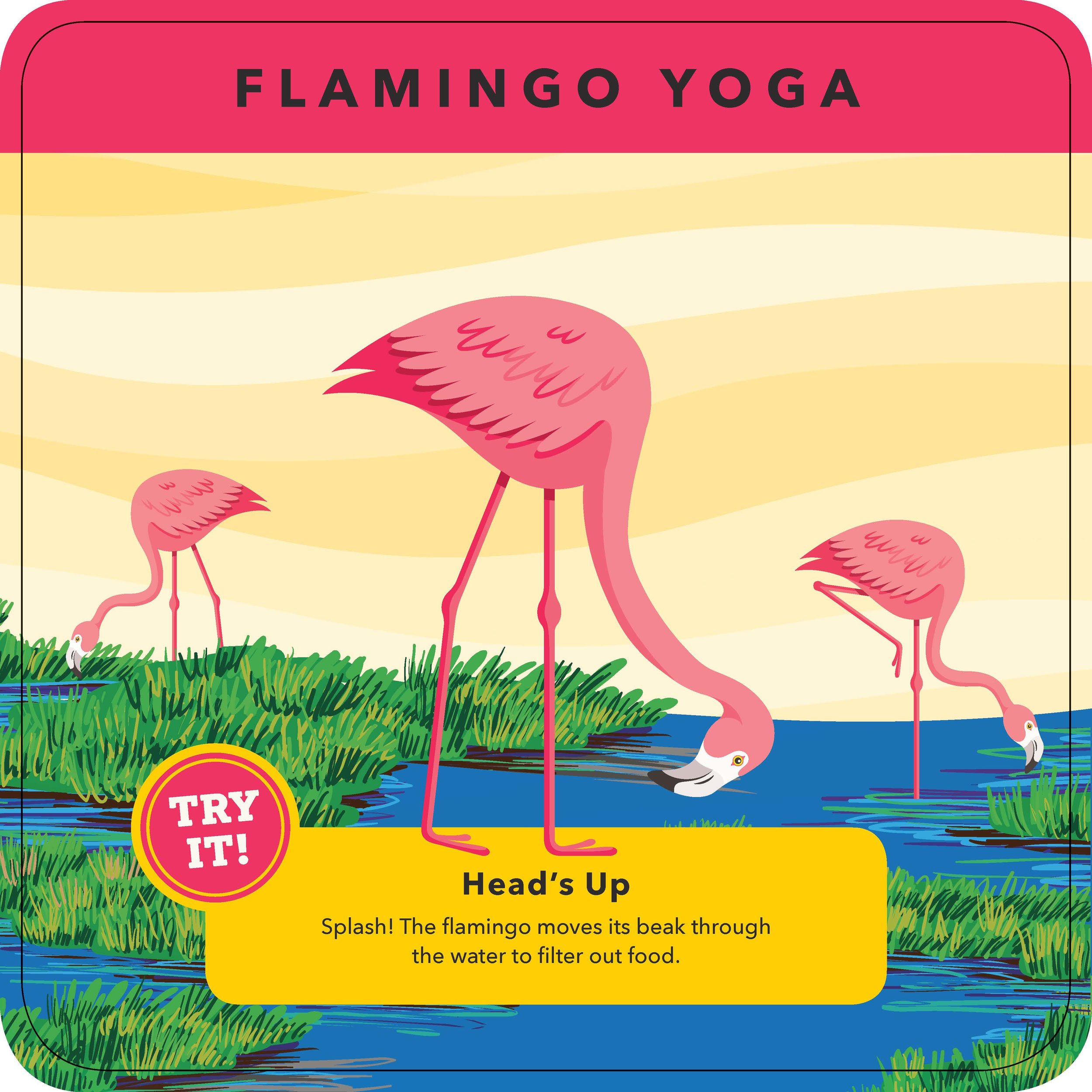 Flamingo yoga.jpg