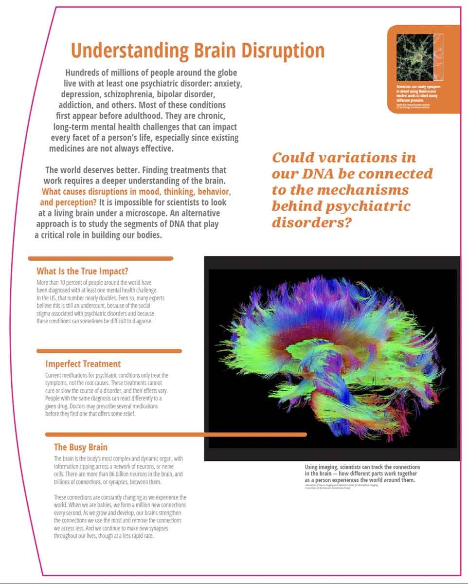 Brain Disruption.jpg