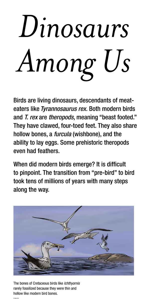12.10.20.100.GR_Dinosaurs Among Us.jpg