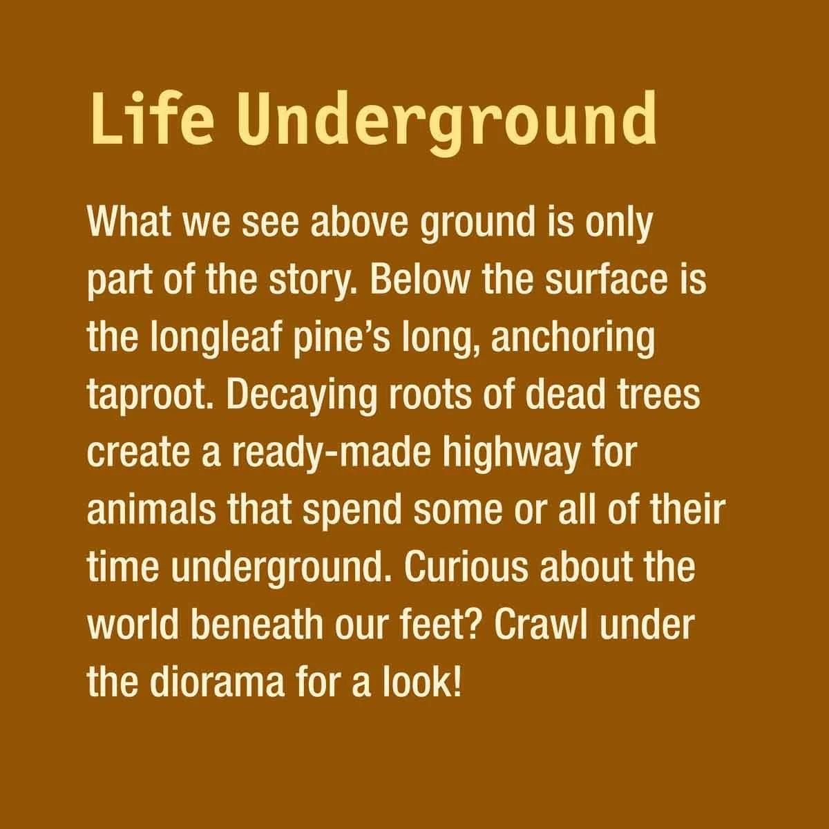 03.40.20.915.GR_Life Underground.jpg