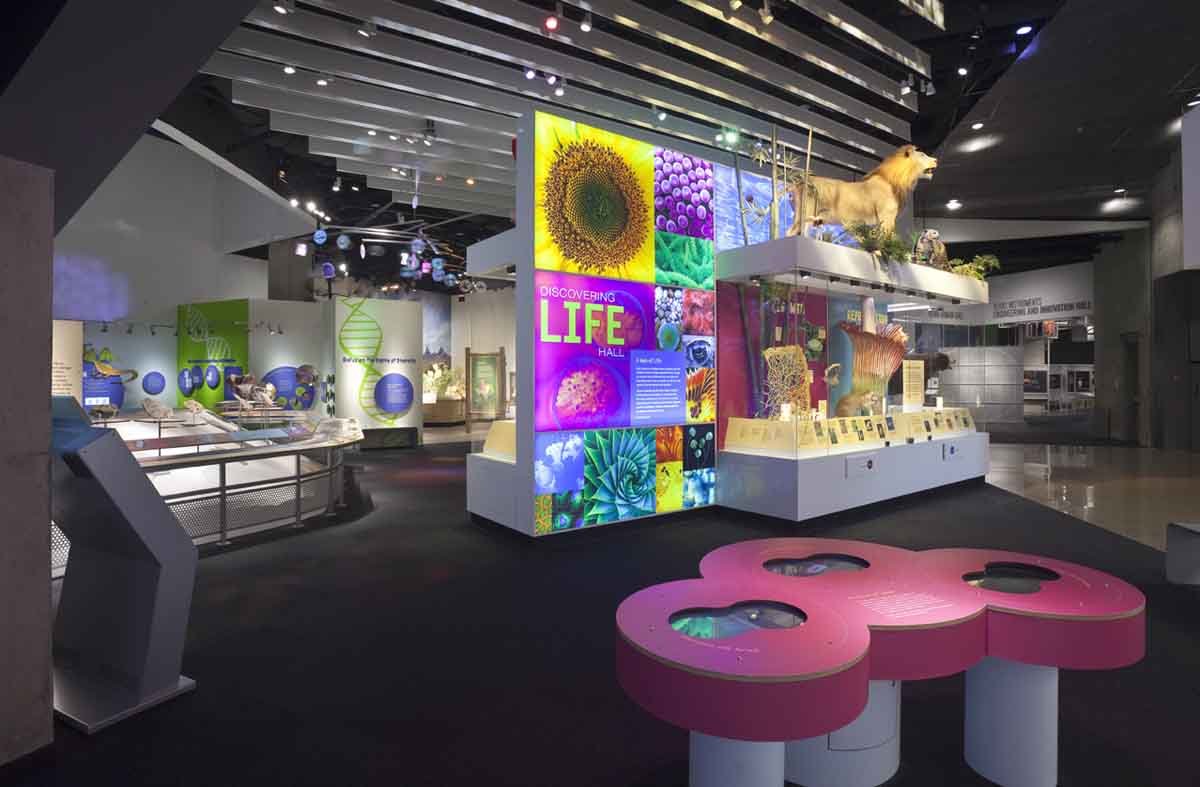 Life Hall 1_041  30 IMG_0085.jpg