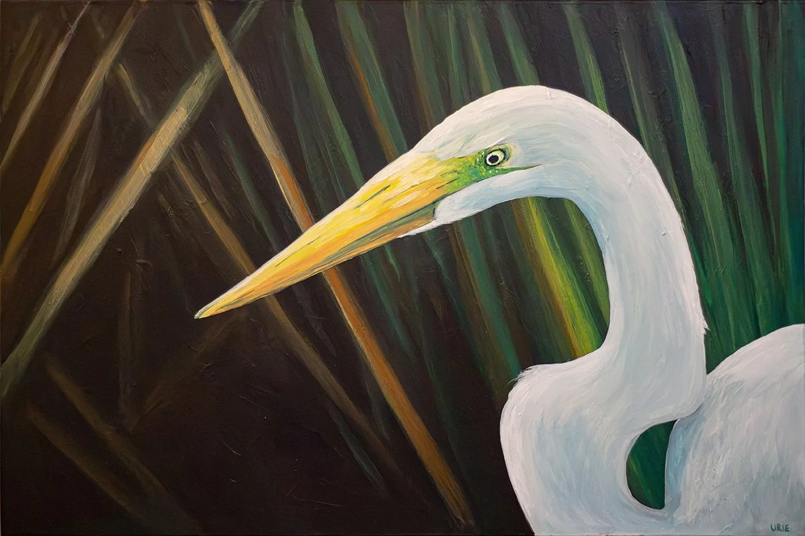 Egret in the Reeds
