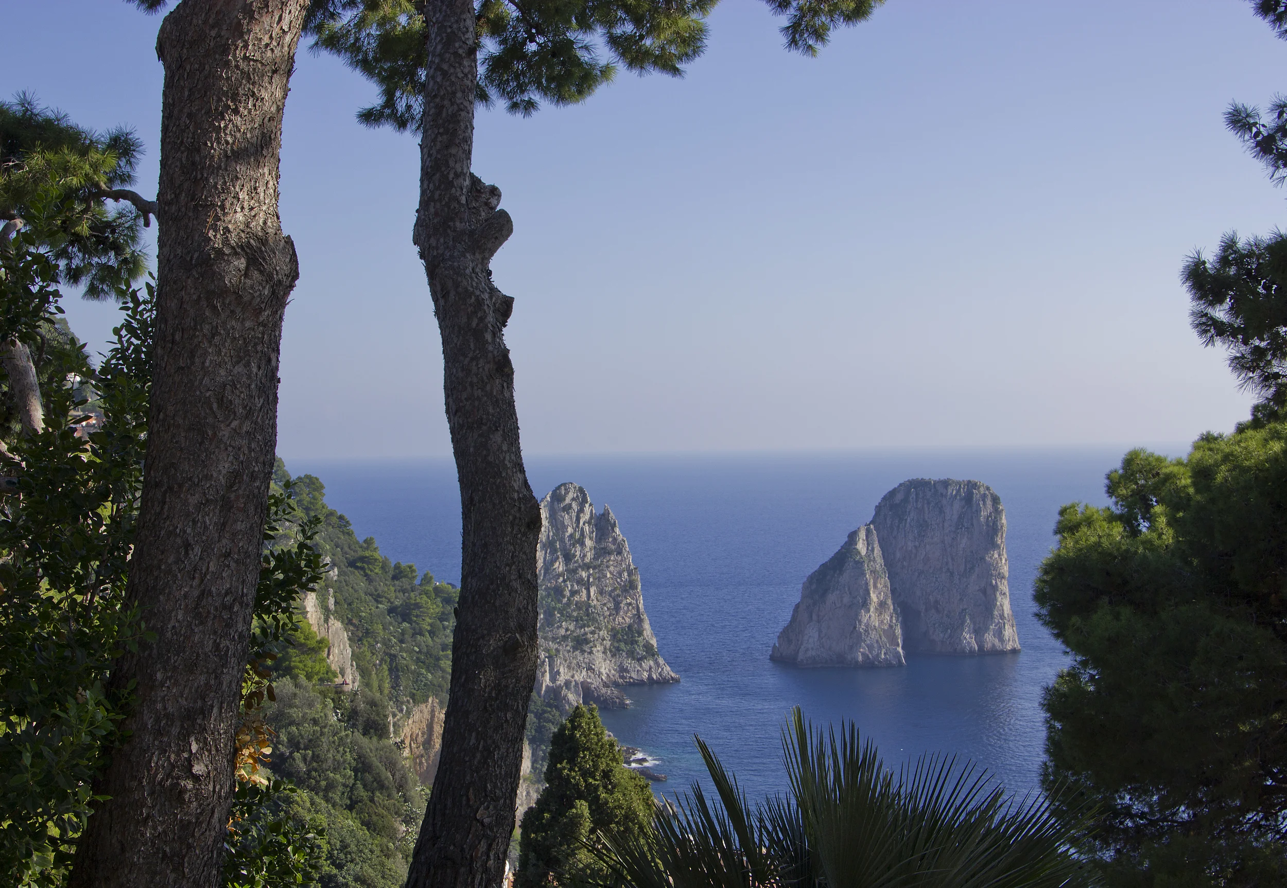 Capri.jpg