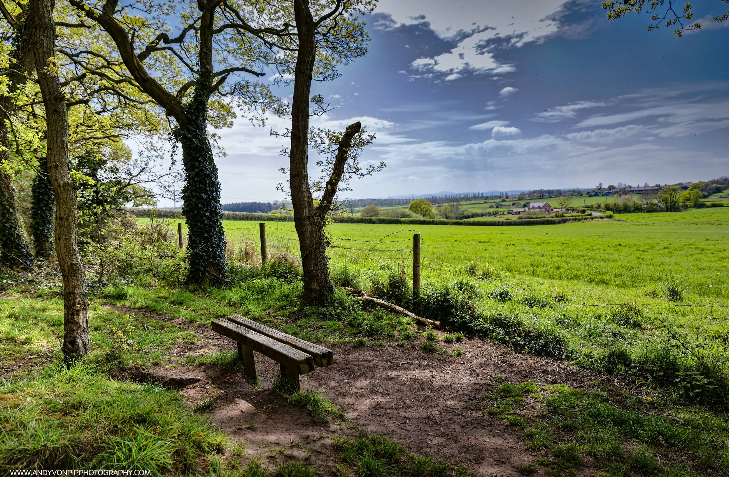 bench_view.jpg