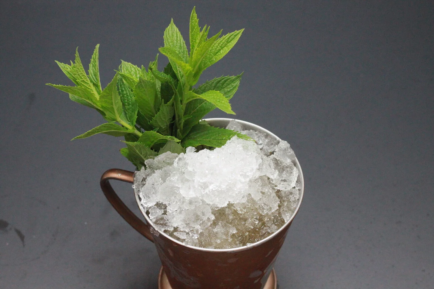 Your Bartender Julep Cocktail