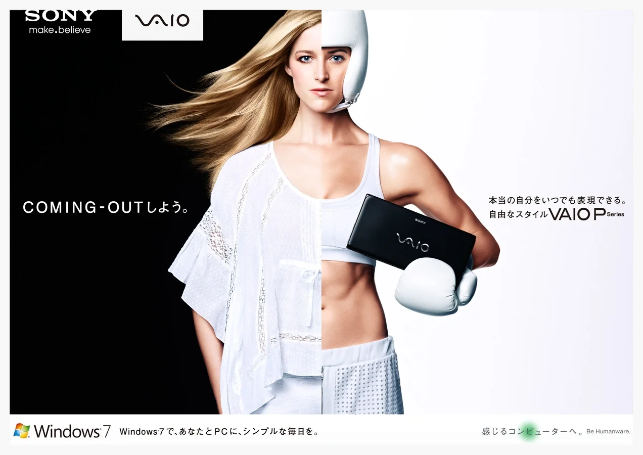 Vaio.jpg