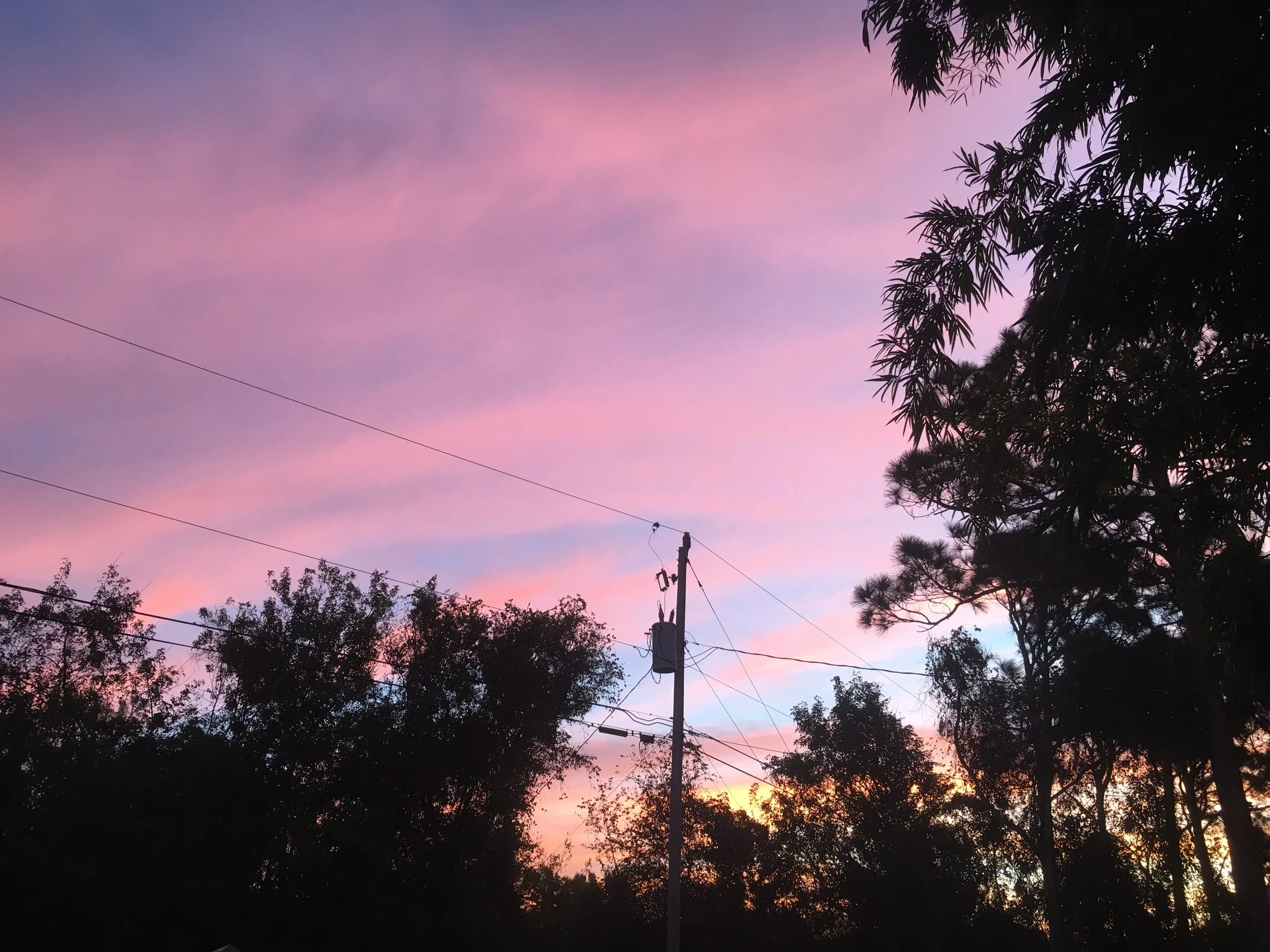 Cotton Candy Colors...