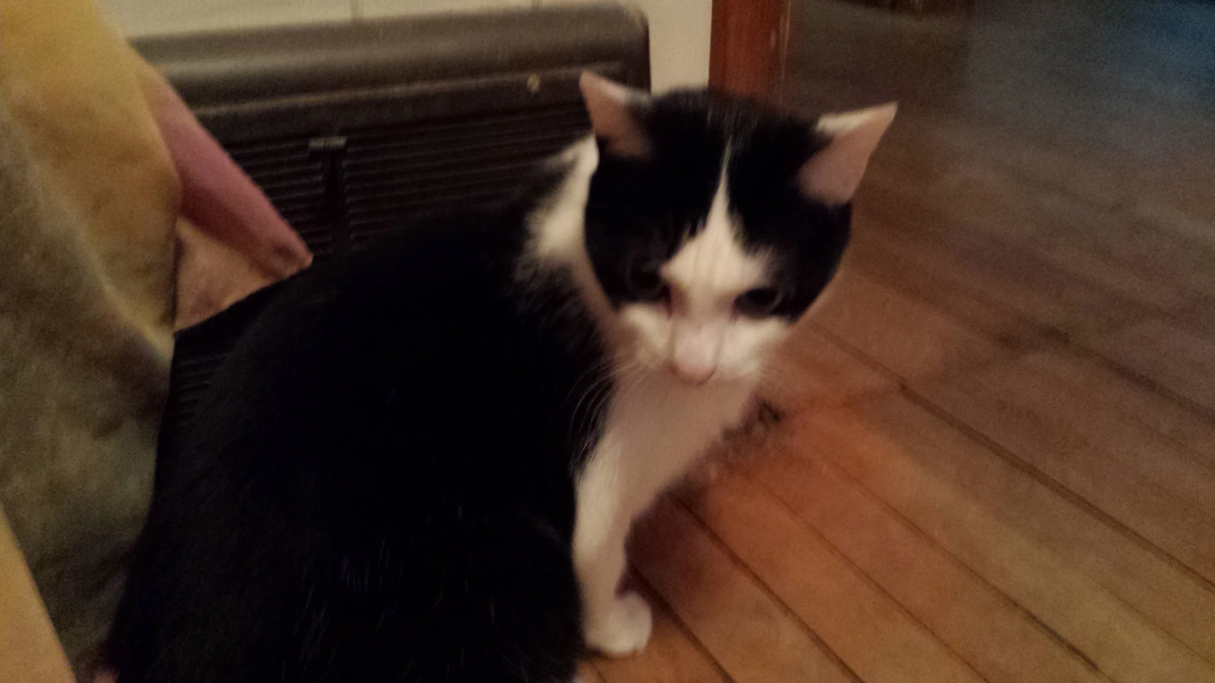 20150402_101536.jpg