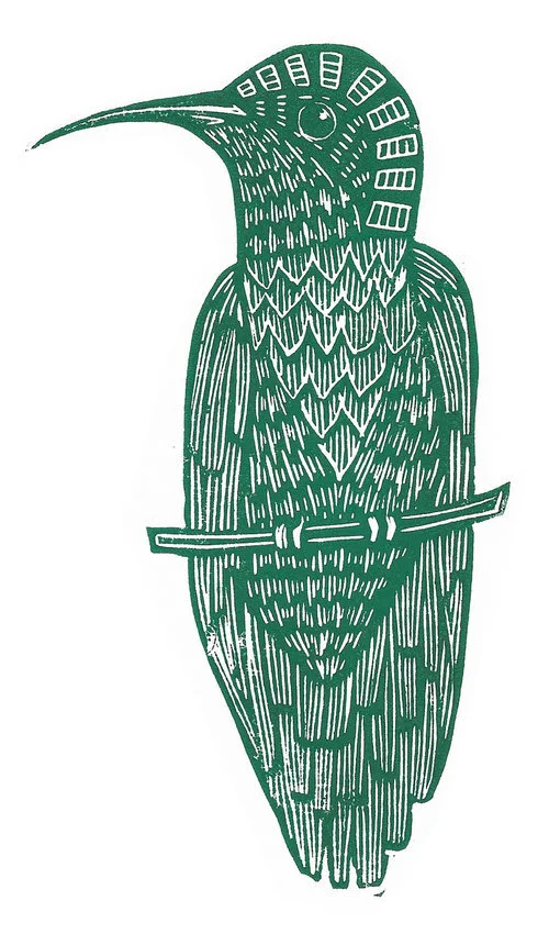 hummingbird+lino-2.jpg