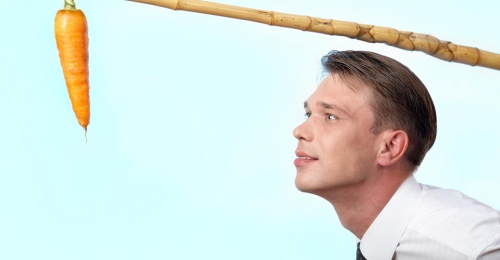 (Best stock image ever?)