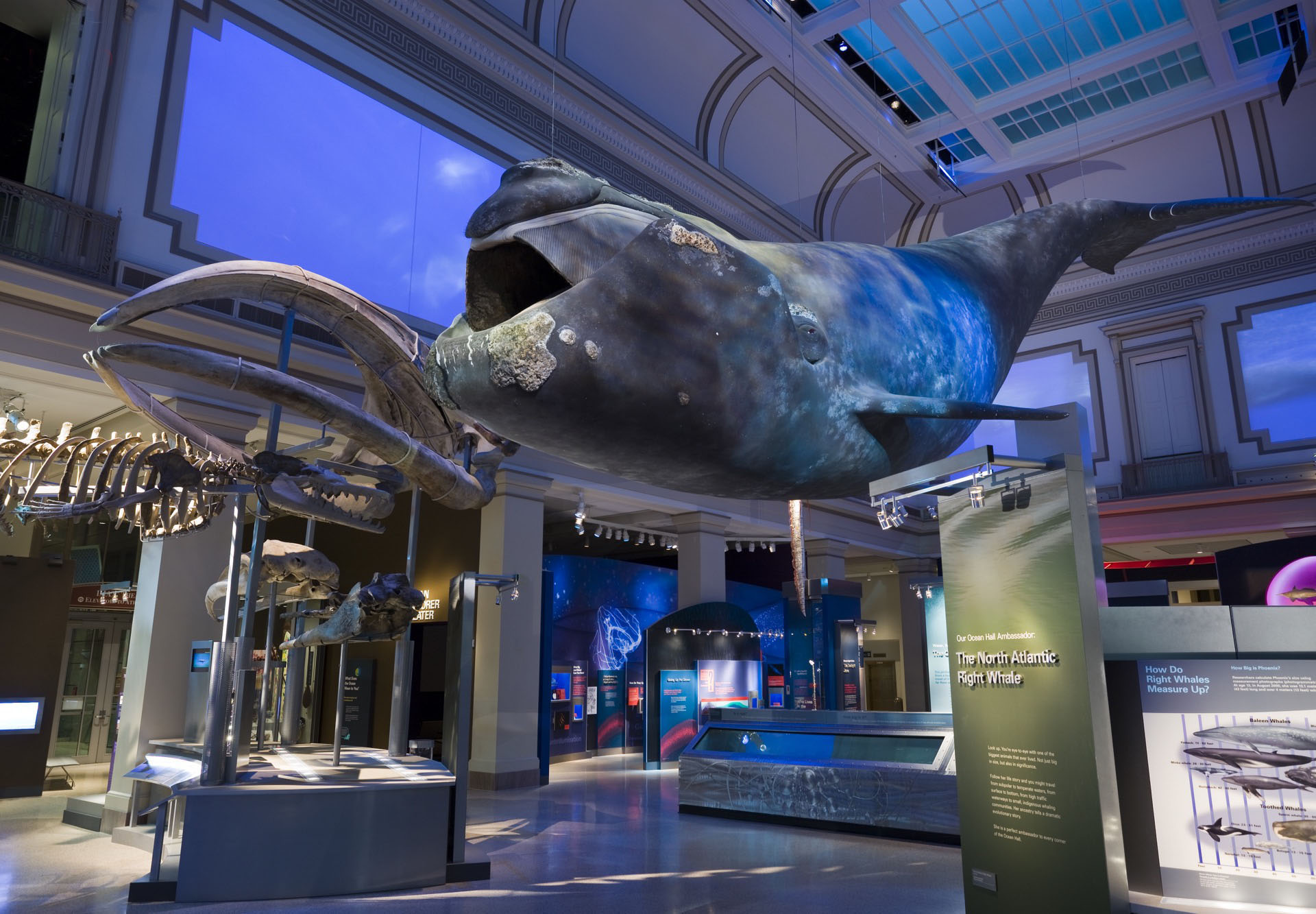 Sant Ocean Hall, National Museum of Natural History, Smithsonian Institution