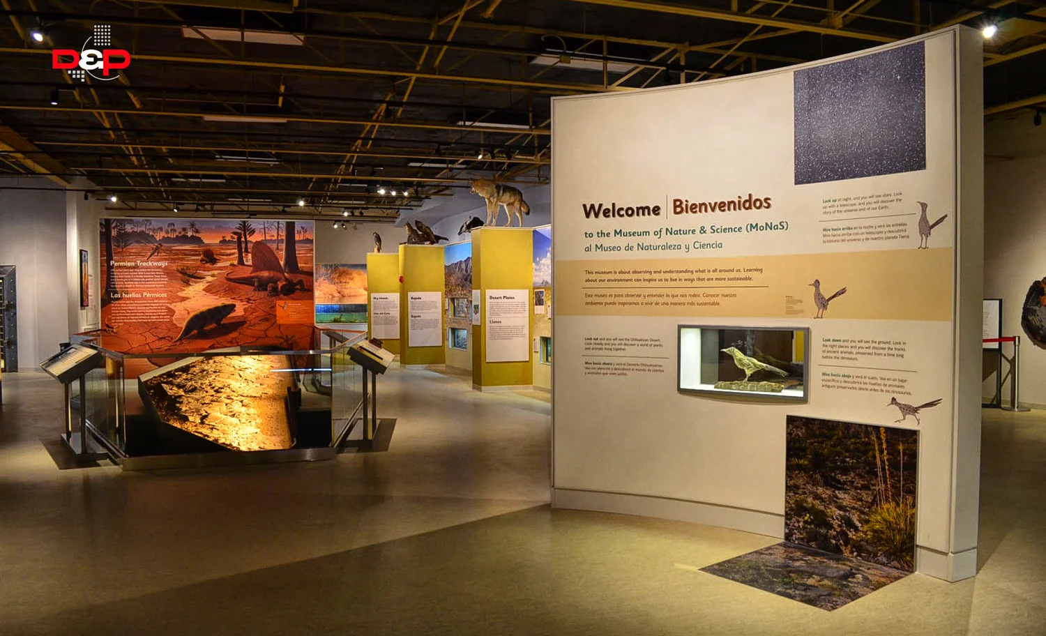 Museum Of Nature & Science Nm