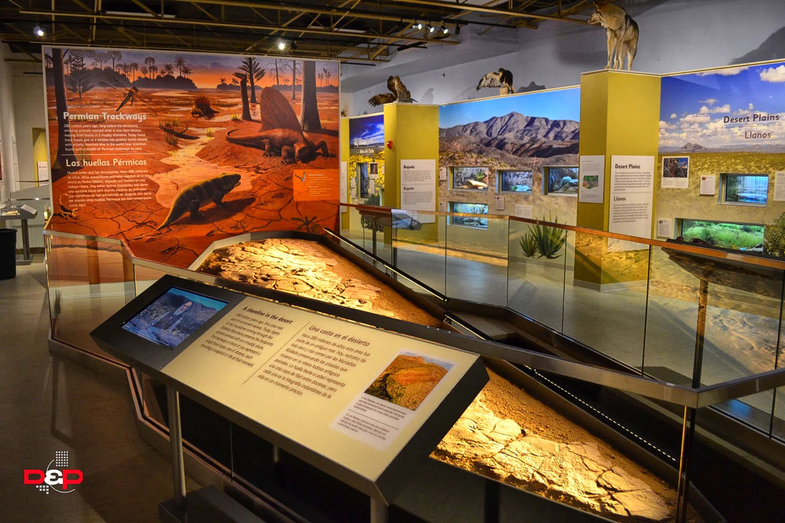 Las Cruces Museum of Nature & Science — Design and Production Incorporated