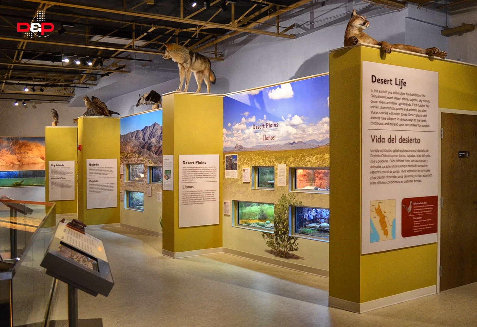 Las Cruces Museum of Nature & Science — Design and Production Incorporated