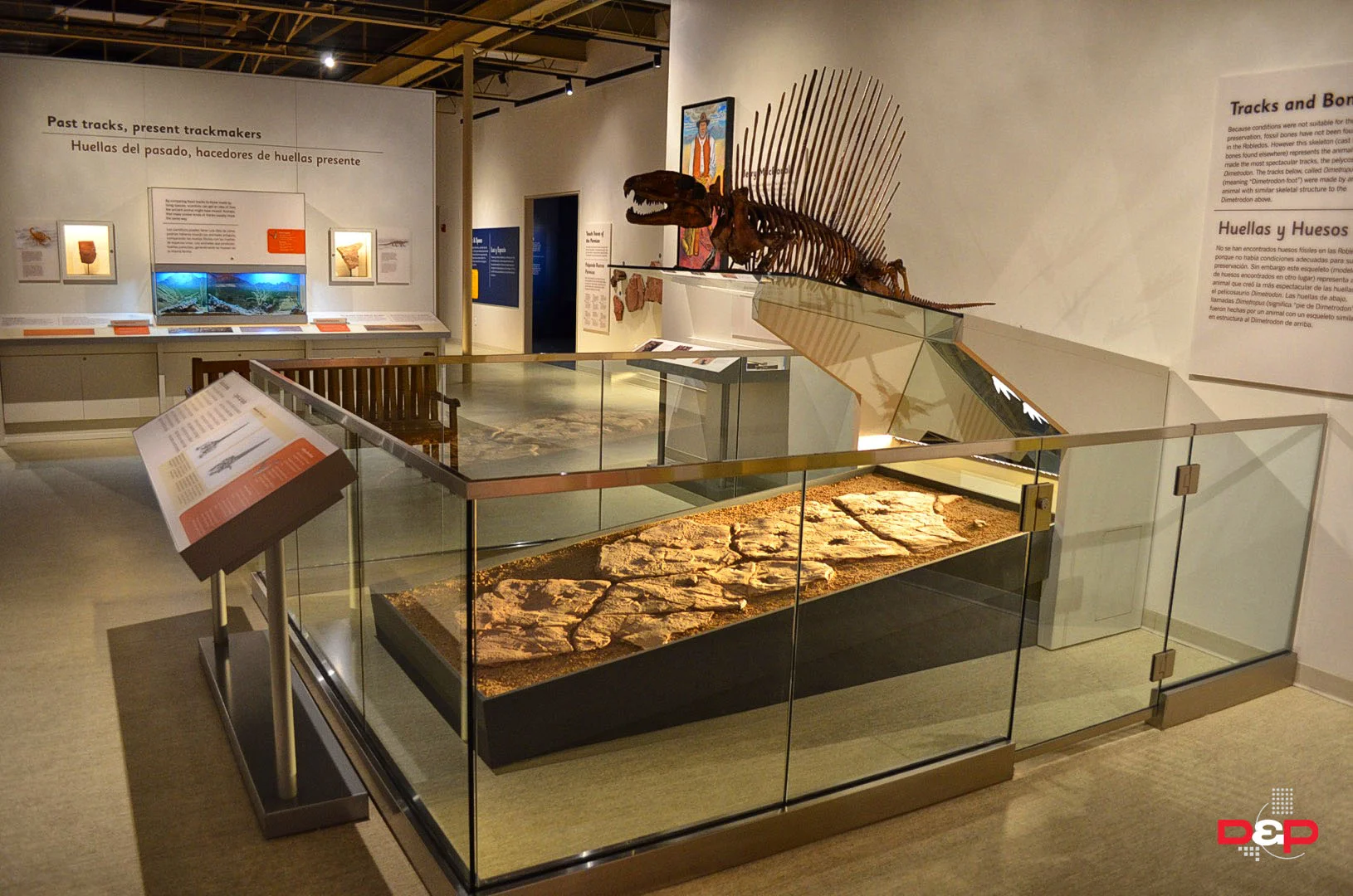 LAs Cruces Web - 5.jpg