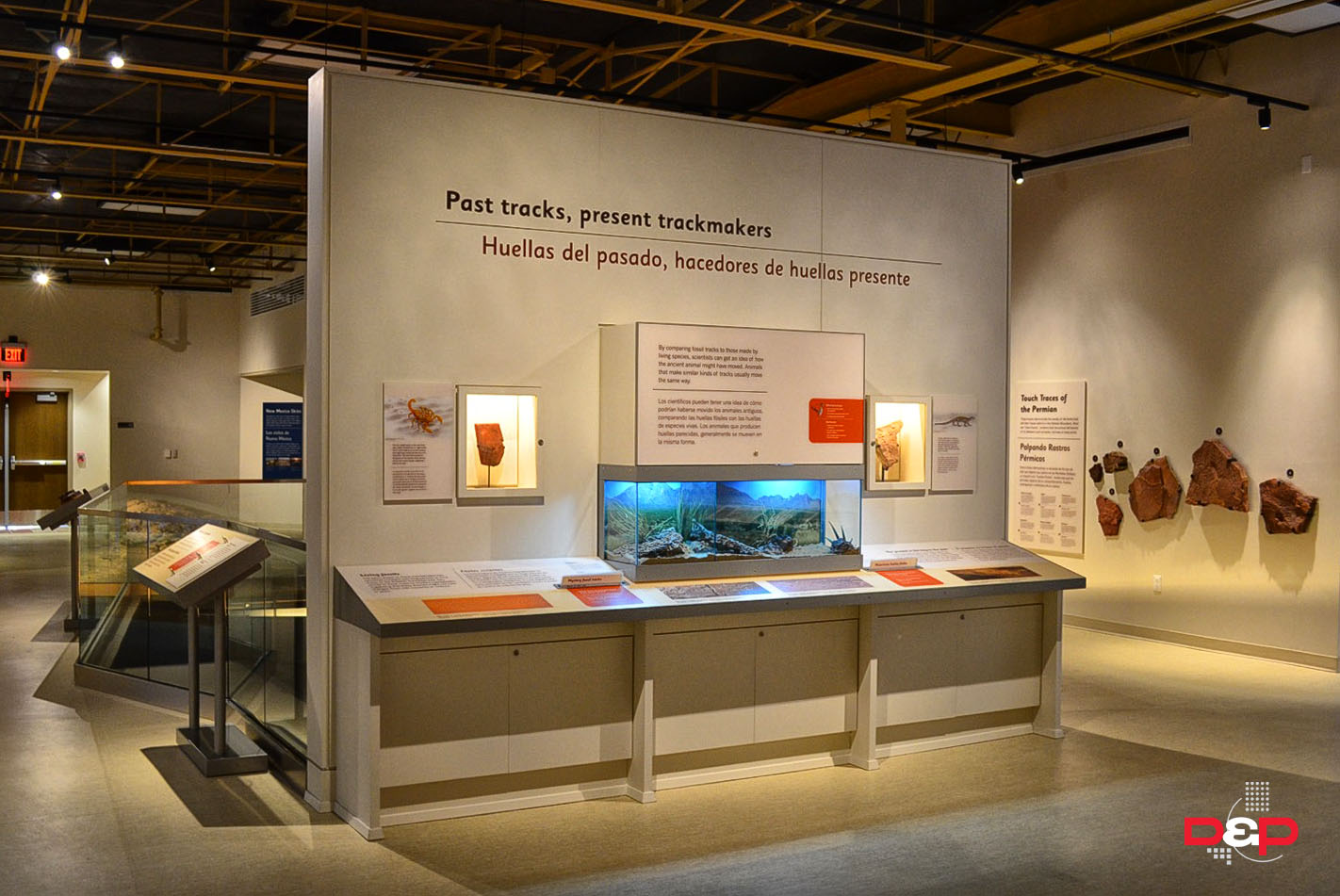 Las Cruces Museum of Nature & Science — Design and Production Incorporated