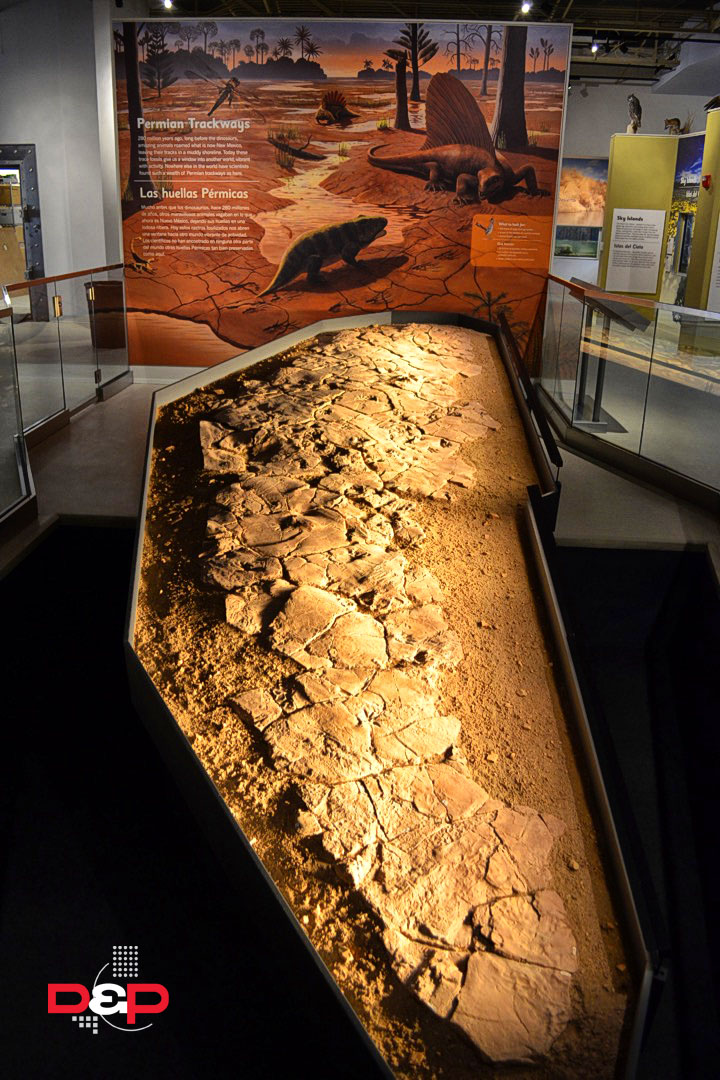 Las Cruces Museum of Nature & Science — Design and Production Incorporated