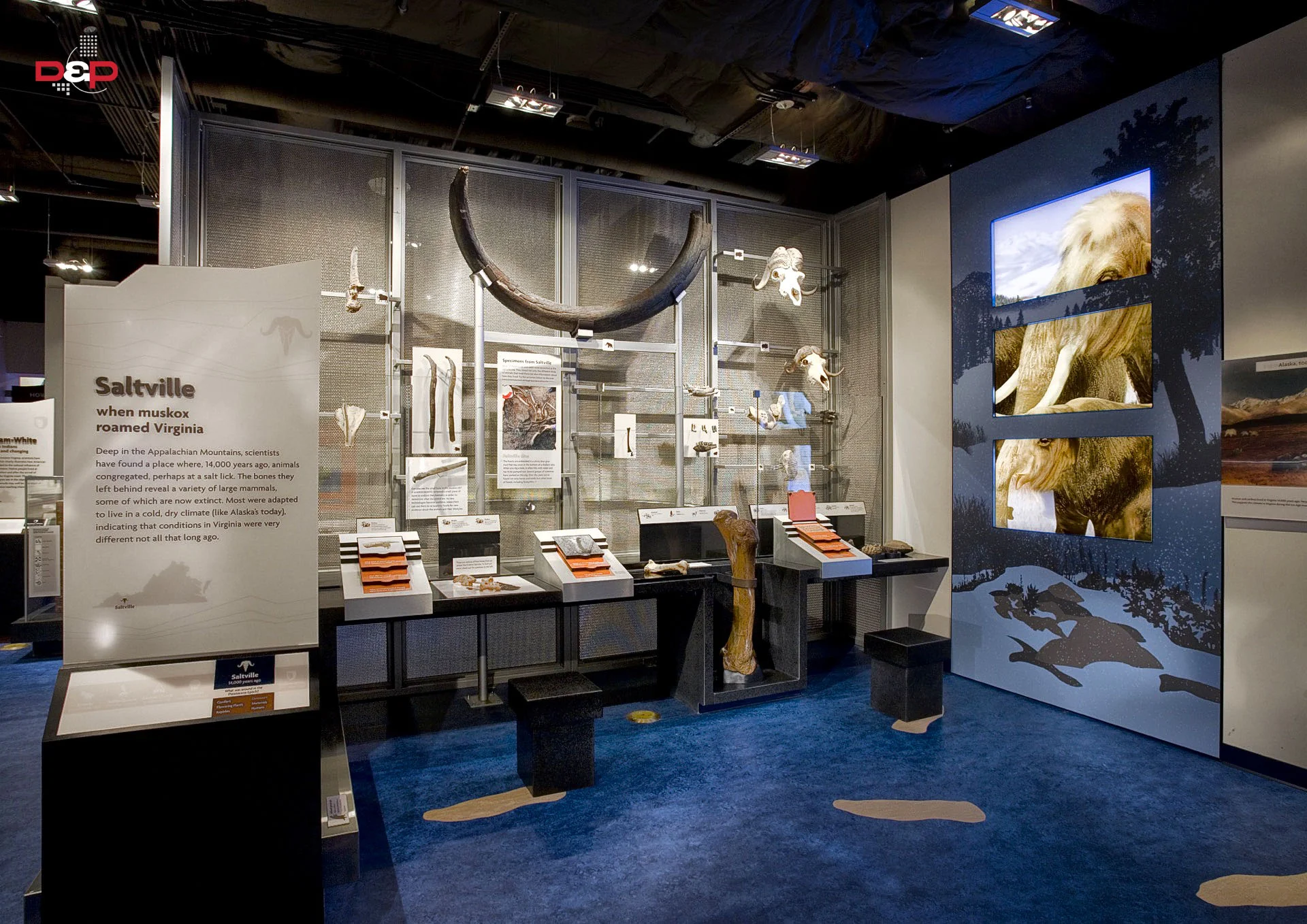 Virginia Nat Hist Web - 5.jpg