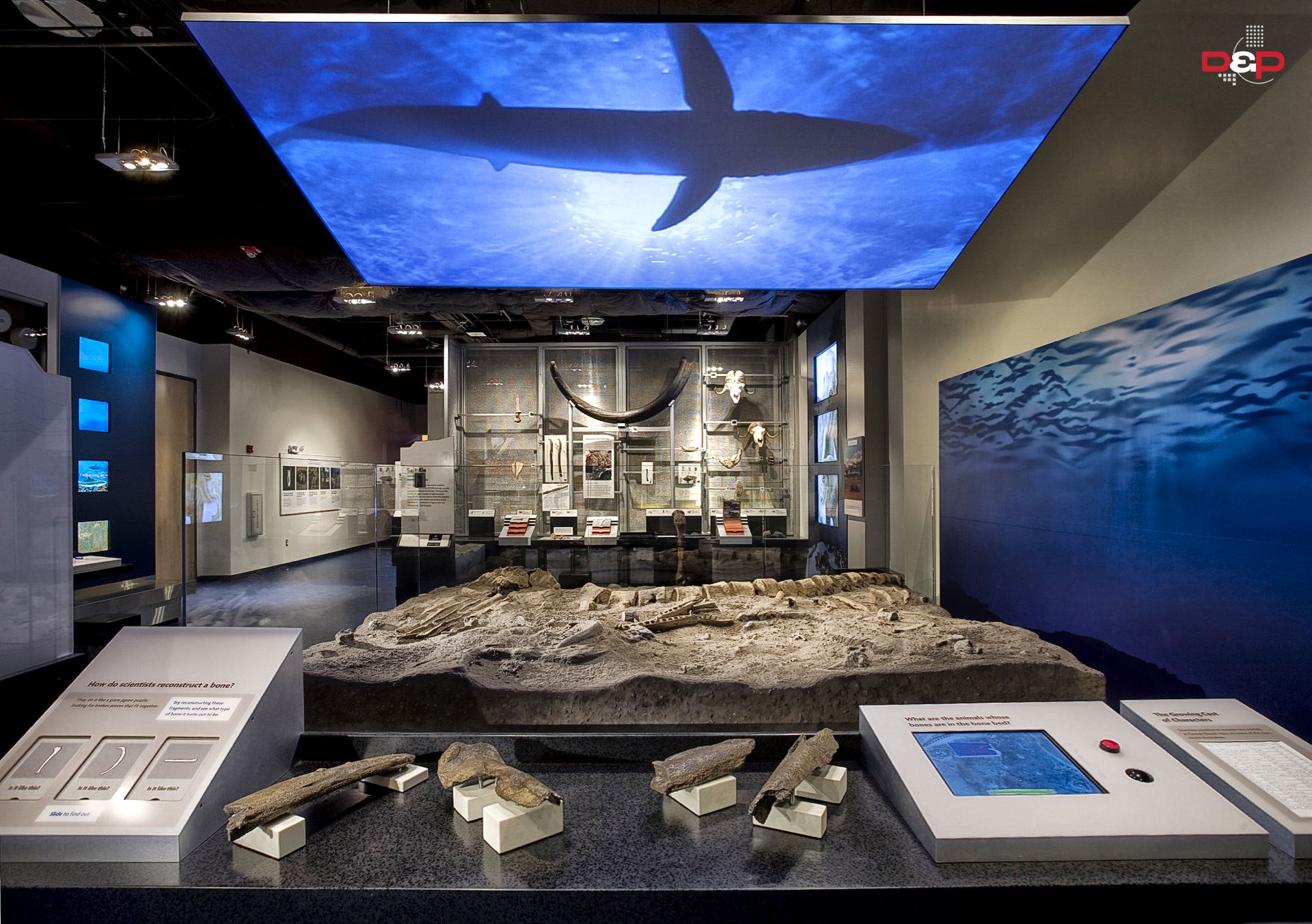 Virginia Museum of Natural History