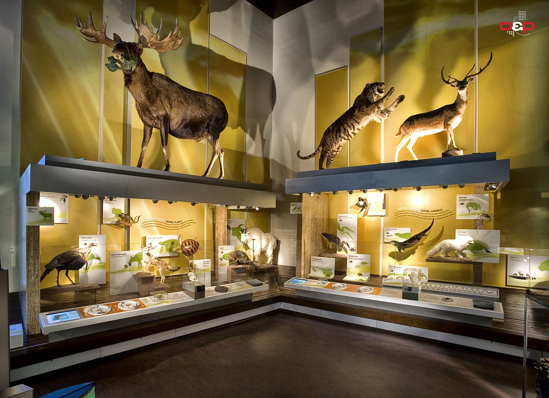 Virginia Museum of Natural History