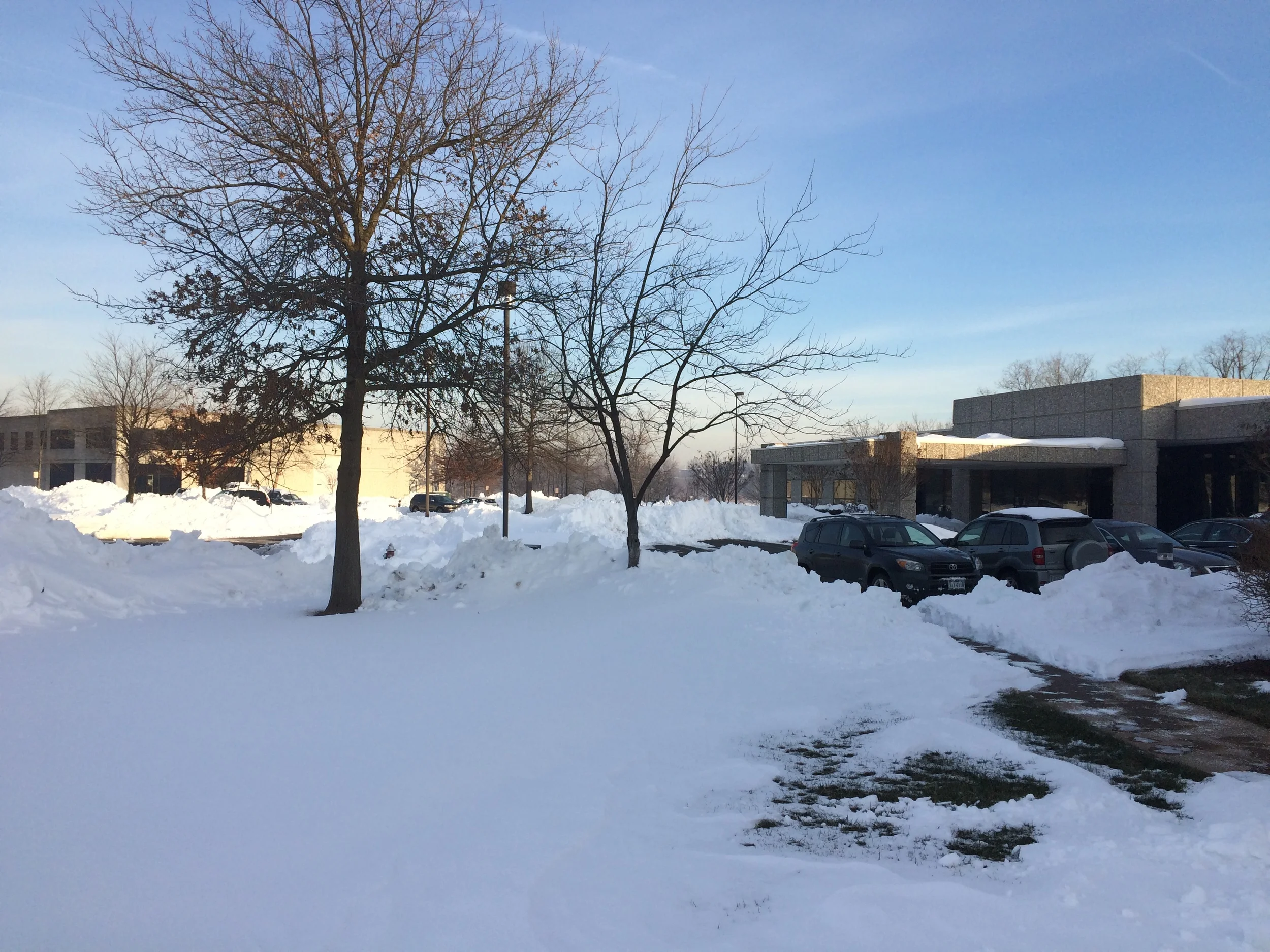 The day after Snozilla's historic snow falls.