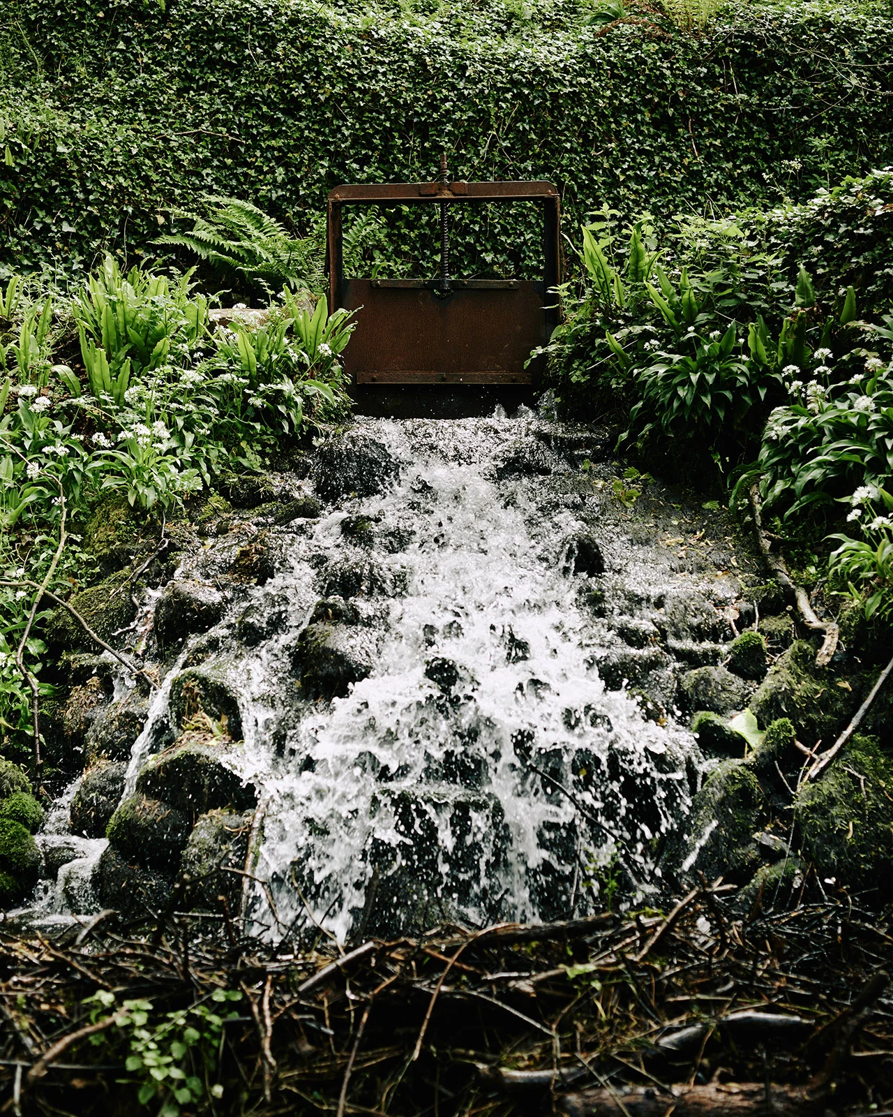 140512-MT-Mill-002-web-1600-px.jpg
