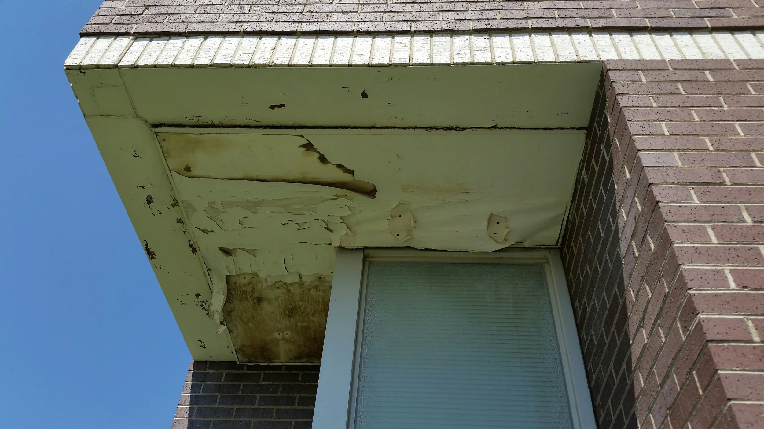 Chapter 4 - Who Loves The Library?