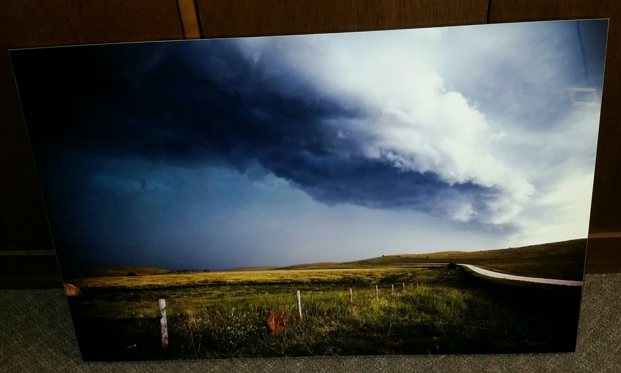 "Sudden Storm" by Anne ThomasReserve $300