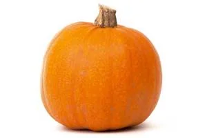 Tuesday Tale Story Time