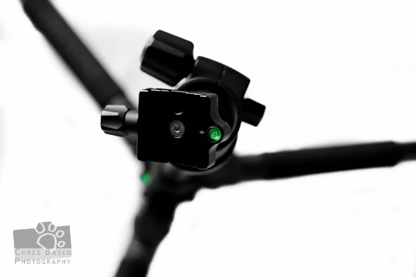 tripod-10