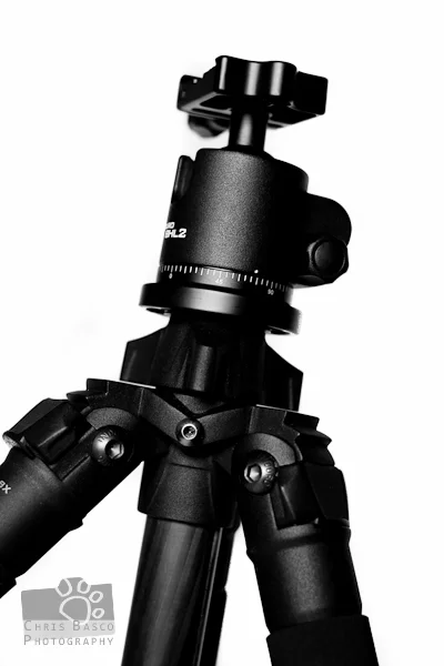 tripod-13