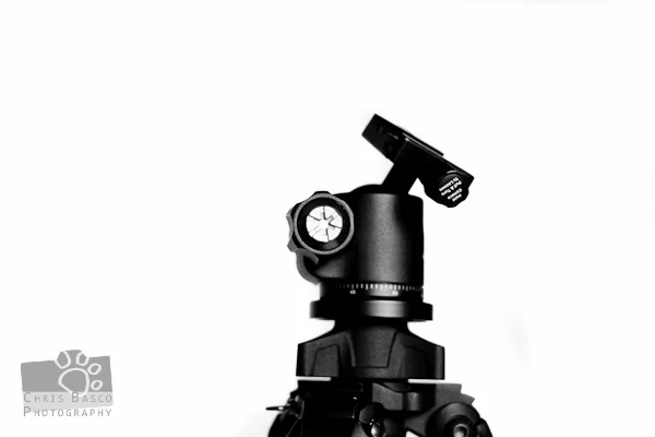 tripod-8