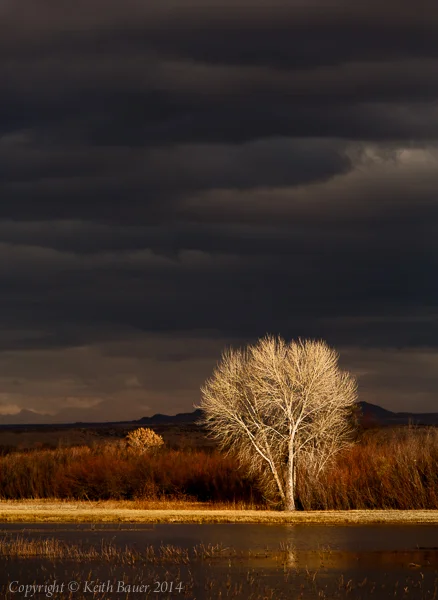 20131205-_V8C7574-Edit