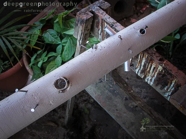 birdfeeders-35-of-50.jpg